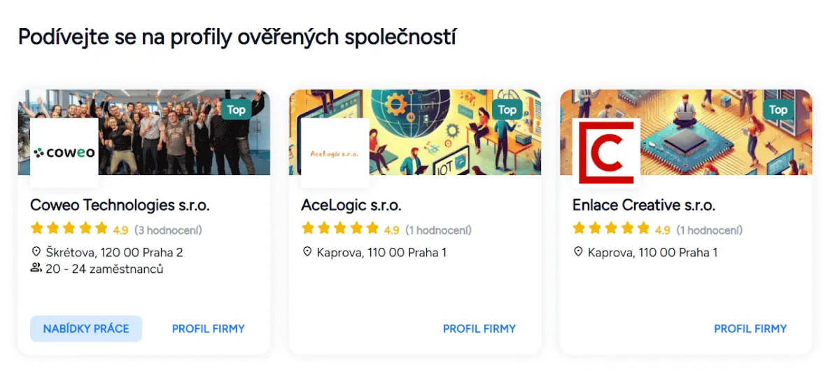 Firemní profil JenFirmy.cz - ukázka 1