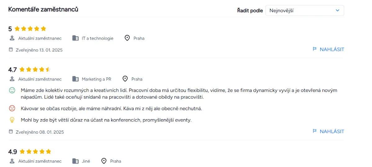 Firemní profil JenFirmy.cz - ukázka 2